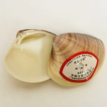 蛤蜊油